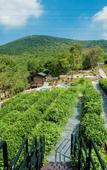 Туры в отель Tangshan Hot Springs RV Camp Туры в отель Tangshan Hot Springs RV Camp
