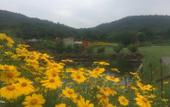 Туры в отель Tangshan Hot Springs RV Camp Туры в отель Tangshan Hot Springs RV Camp