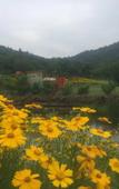 Туры в отель Tangshan Hot Springs RV Camp Туры в отель Tangshan Hot Springs RV Camp