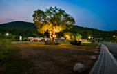 Туры в отель Tangshan Hot Springs RV Camp Туры в отель Tangshan Hot Springs RV Camp