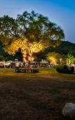 Туры в отель Tangshan Hot Springs RV Camp Туры в отель Tangshan Hot Springs RV Camp