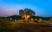 Туры в отель Tangshan Hot Springs RV Camp Туры в отель Tangshan Hot Springs RV Camp