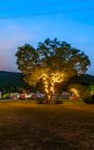 Туры в отель Tangshan Hot Springs RV Camp Туры в отель Tangshan Hot Springs RV Camp
