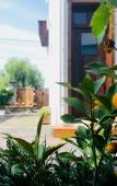 Туры в отель Liuniange Boutique Hostel Туры в отель Liuniange Boutique Hostel