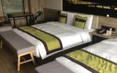 Туры в отель Nanjing South Railway Station Licheng Ali Hotel Туры в отель Nanjing South Railway Station Licheng Ali Hotel