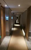 Туры в отель Baihe Hotel (Zhengzhou Futa East Subway Station Branch) Туры в отель Baihe Hotel (Zhengzhou Futa East Subway Station Branch)