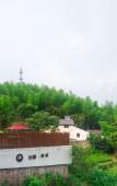 Туры в отель Cloud Bamboo Mansion Туры в отель Cloud Bamboo Mansion