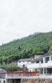 Туры в отель Cloud Bamboo Mansion Туры в отель Cloud Bamboo Mansion