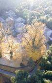 Туры в отель Cloud Bamboo Mansion Туры в отель Cloud Bamboo Mansion