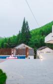 Туры в отель Cloud Bamboo Mansion Туры в отель Cloud Bamboo Mansion