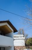 Туры в отель Cloud Bamboo Mansion Туры в отель Cloud Bamboo Mansion
