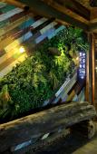 Туры в отель Jiuri Guangying Hotel Туры в отель Jiuri Guangying Hotel