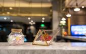 Туры в отель Sushi Light Luxury Hotel (Shanghai South Railway Station) Туры в отель Sushi Light Luxury Hotel (Shanghai South Railway Station)