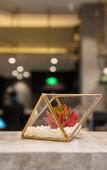 Туры в отель Sushi Light Luxury Hotel (Shanghai South Railway Station) Туры в отель Sushi Light Luxury Hotel (Shanghai South Railway Station)