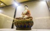 Туры в отель Carp Culture Hotel Туры в отель Carp Culture Hotel
