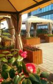 Туры в отель Yeste International Hotel (Chengdu Shuangliu Airport Wanda Plaza Branch)) Туры в отель Yeste International Hotel (Chengdu Shuangliu Airport Wanda Plaza Branch))