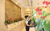 Туры в отель Huacheng Hotel (Shenzhen Pinghu Shuangyong Street Subway Station) Туры в отель Huacheng Hotel (Shenzhen Pinghu Shuangyong Street Subway Station)