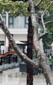 Туры в отель Yunjin Hotel Туры в отель Yunjin Hotel