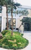 Туры в отель Yunjin Hotel Туры в отель Yunjin Hotel