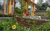 Туры в отель Yuxue Spring Boutique Inn Туры в отель Yuxue Spring Boutique Inn