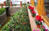 Туры в отель Yuxue Spring Boutique Inn Туры в отель Yuxue Spring Boutique Inn