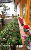 Туры в отель Yuxue Spring Boutique Inn Туры в отель Yuxue Spring Boutique Inn