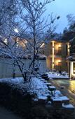 Туры в отель Nanshan Bamboo Sea Micheng Bubble Resort Garden Туры в отель Nanshan Bamboo Sea Micheng Bubble Resort Garden