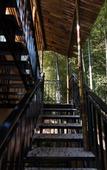 Туры в отель Nanshan Bamboo Sea Micheng Bubble Resort Garden Туры в отель Nanshan Bamboo Sea Micheng Bubble Resort Garden