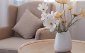Туры в отель Vienna 3 Best Hotel (Xichang Qionghai Wetland Park Hangtian Avenue) Туры в отель Vienna 3 Best Hotel (Xichang Qionghai Wetland Park Hangtian Avenue)