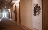Туры в отель Zion Hotel (Tongxiang Economic Development Zone) Туры в отель Zion Hotel (Tongxiang Economic Development Zone)