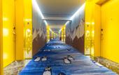 Туры в отель Shanghai Haichang Ocean Park Theme Resort Hotel Туры в отель Shanghai Haichang Ocean Park Theme Resort Hotel