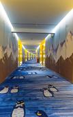 Туры в отель Shanghai Haichang Ocean Park Theme Resort Hotel Туры в отель Shanghai Haichang Ocean Park Theme Resort Hotel