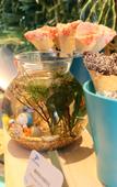 Туры в отель Shanghai Haichang Ocean Park Theme Resort Hotel Туры в отель Shanghai Haichang Ocean Park Theme Resort Hotel