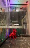 Туры в отель Huzhou Manani Hotel (Zhili Golden Coast Children's Clothing City) Туры в отель Huzhou Manani Hotel (Zhili Golden Coast Children's Clothing City)