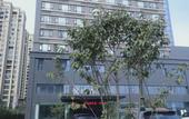 Туры в отель YueCheng Hotel Туры в отель YueCheng Hotel