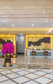 Туры в отель Haonianhua Business Hotel Туры в отель Haonianhua Business Hotel