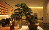 Туры в отель Mochi Hotel Ningbo Xikou Туры в отель Mochi Hotel Ningbo Xikou