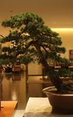 Туры в отель Mochi Hotel Ningbo Xikou Туры в отель Mochi Hotel Ningbo Xikou