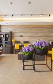 Туры в отель Homeinn Plus Hotel (Pingyao Ancient City North Gate Railway Station) Туры в отель Homeinn Plus Hotel (Pingyao Ancient City North Gate Railway Station)