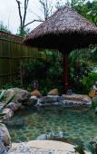 Туры в отель Amazing Orchid Pavilion Hotspring Hotel. Туры в отель Amazing Orchid Pavilion Hotspring Hotel.