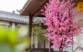 Туры в отель Floral Hotel·Guixin Courtyard Guest Hotel(Nanjing South Railway Station North Square Branch) Туры в отель Floral Hotel·Guixin Courtyard Guest Hotel(Nanjing South Railway Station North Square Branch)