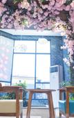 Туры в отель Homeinn Pebble Hotel (Xinzhou No.1 High School) Туры в отель Homeinn Pebble Hotel (Xinzhou No.1 High School)