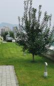 Туры в отель Lanou Hotel (Chengde Old street Herun New City) Туры в отель Lanou Hotel (Chengde Old street Herun New City)