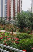 Туры в отель Lanou Hotel (Chengde Old street Herun New City) Туры в отель Lanou Hotel (Chengde Old street Herun New City)