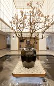 Туры в отель Hidden Hotel Туры в отель Hidden Hotel