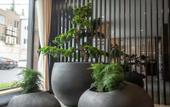 Туры в отель Huafu Jincheng Hotel Туры в отель Huafu Jincheng Hotel