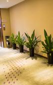 Туры в отель Xinli Hotel Tongxiang Туры в отель Xinli Hotel Tongxiang