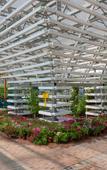 Туры в отель Youbang Garden Hotel Туры в отель Youbang Garden Hotel