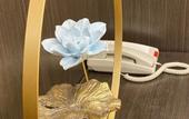 Туры в отель Yitel Collection Hotel (Qingdao Railway Station Zhanqiao Seaview) Туры в отель Yitel Collection Hotel (Qingdao Railway Station Zhanqiao Seaview)