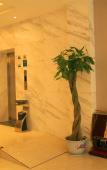 Туры в отель City Comfort Inn (Nanchang Shuanggang Metro Station Caida) Туры в отель City Comfort Inn (Nanchang Shuanggang Metro Station Caida)